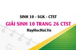Giải Sinh 10 trang 26 Chân trời sáng tạo SGK